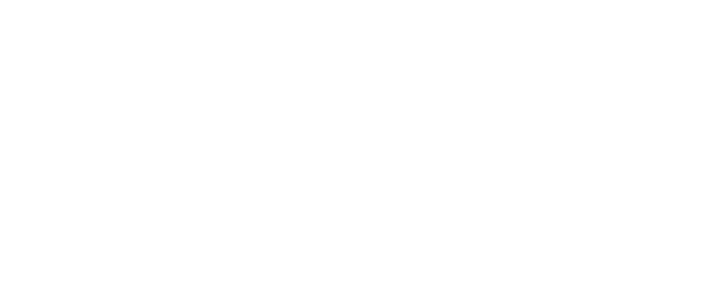 Custodes S.A. de C.V.