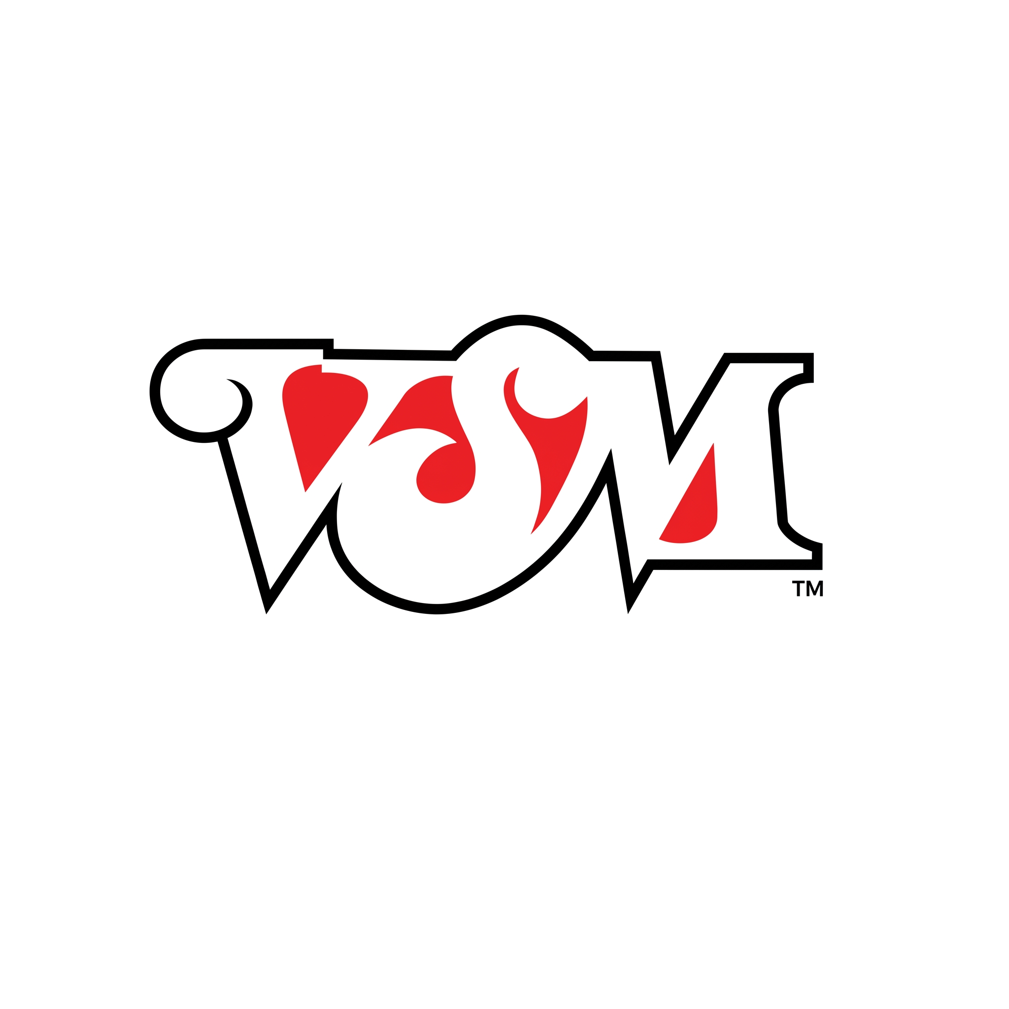 VSM, operación Javid de México